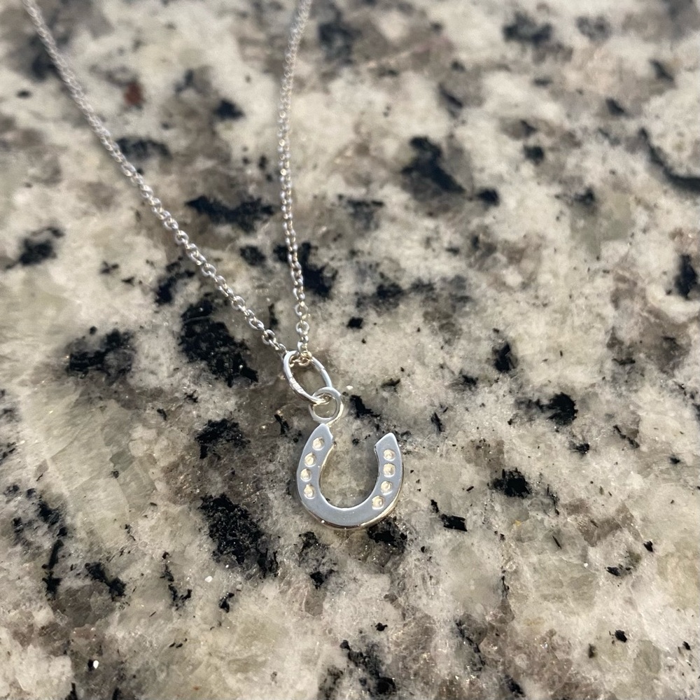 Regal Rose Horseshoe Necklace, sterling silver